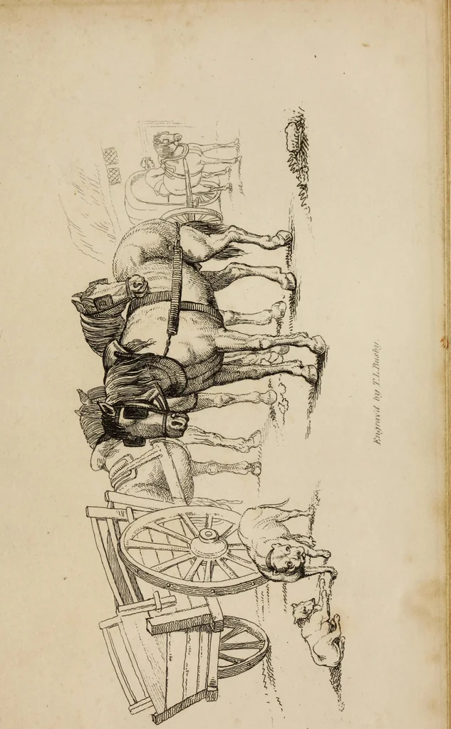 An illustration from The elements of drawing : in its various branches, for the use of students ... containing several hundred examples, from the works of the greatest masters, 1827, leaf 205