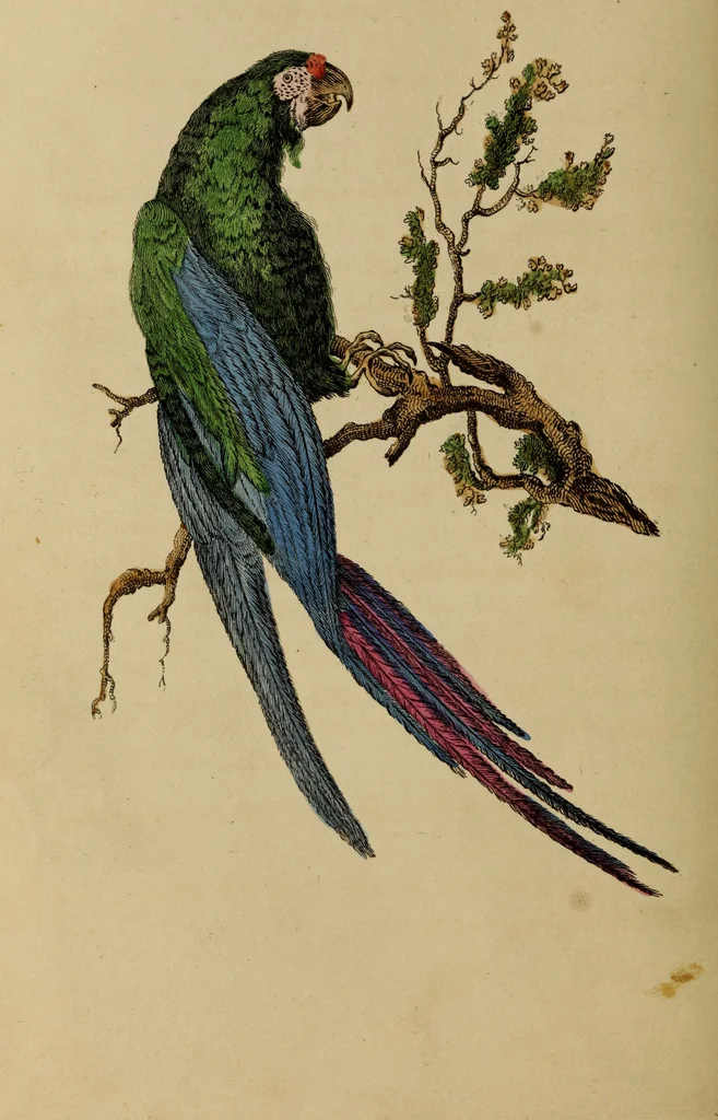An illustration from The elements of drawing : in its various branches, for the use of students ... containing several hundred examples, from the works of the greatest masters, 1827, leaf 208