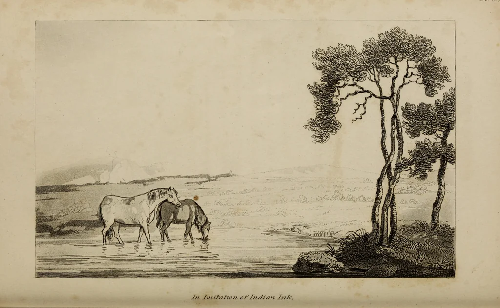An illustration from The elements of drawing : in its various branches, for the use of students ... containing several hundred examples, from the works of the greatest masters, 1827, leaf 220