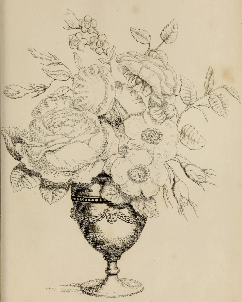An illustration from The elements of drawing : in its various branches, for the use of students ... containing several hundred examples, from the works of the greatest masters, 1827, leaf 239