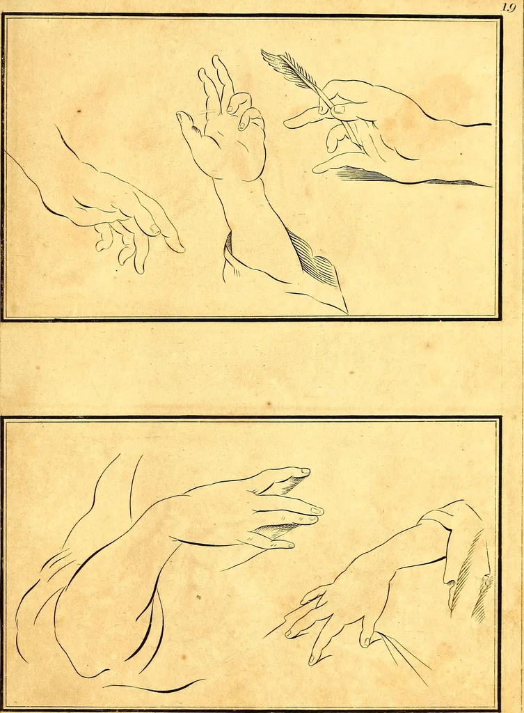 An illustration from Elements of drawing exemplified in a variety of figures and sketches of parts of the human form, 1814, leaf 46