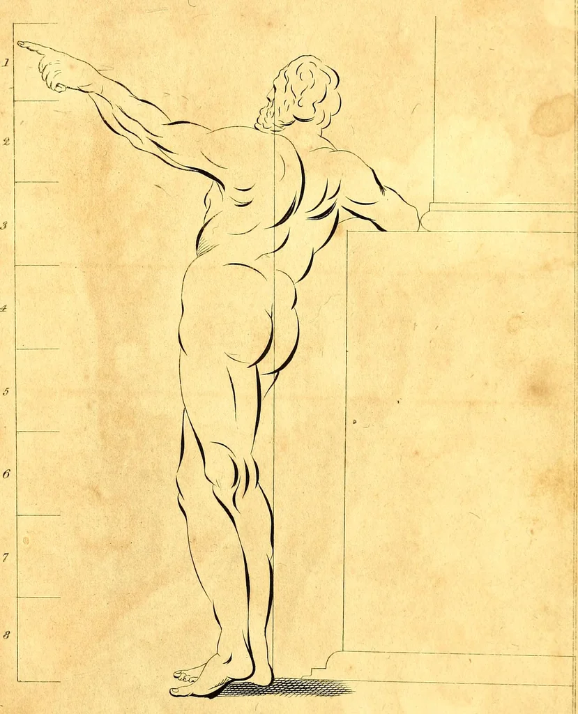 An illustration from Elements of drawing exemplified in a variety of figures and sketches of parts of the human form, 1814, leaf 54
