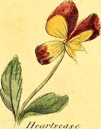 An illustration from Elements of drawing exemplified in a variety of figures and sketches of parts of the human form, 1814, leaf 58