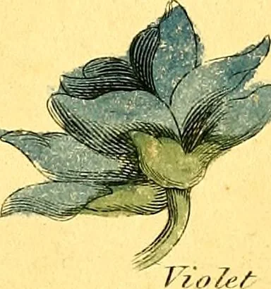 An illustration from Elements of drawing exemplified in a variety of figures and sketches of parts of the human form, 1814, leaf 58