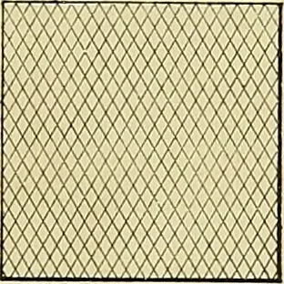 An illustration from Elements of drawing, 1912, leaf 102