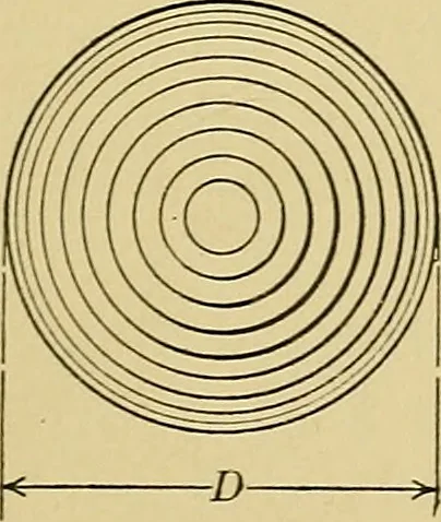 An illustration from Elements of drawing, 1912, leaf 186