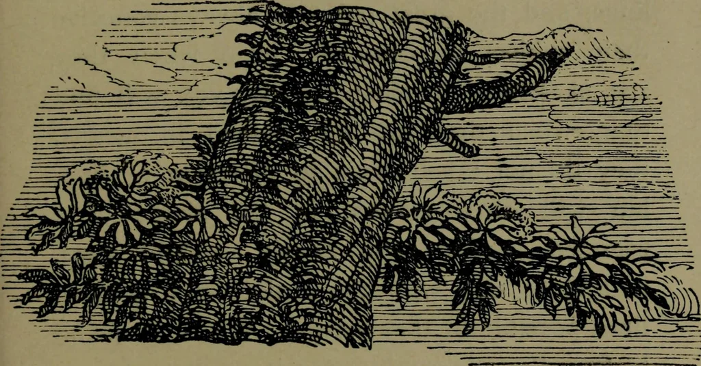 An illustration from The elements of drawing in three letters to beginners, 1898, leaf 139