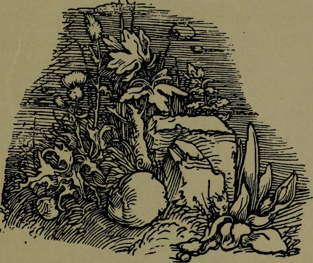 An illustration from The elements of drawing in three letters to beginners, 1898, leaf 151
