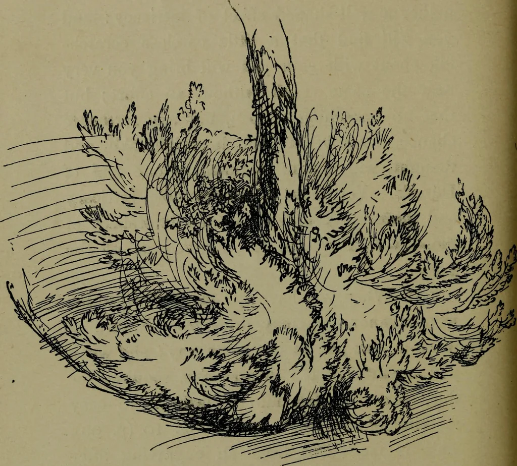 An illustration from The elements of drawing in three letters to beginners, 1898, leaf 154