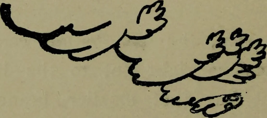 An illustration from The elements of drawing in three letters to beginners, 1898, leaf 162