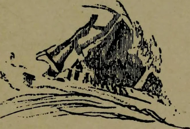 An illustration from The elements of drawing in three letters to beginners, 1898, leaf 184