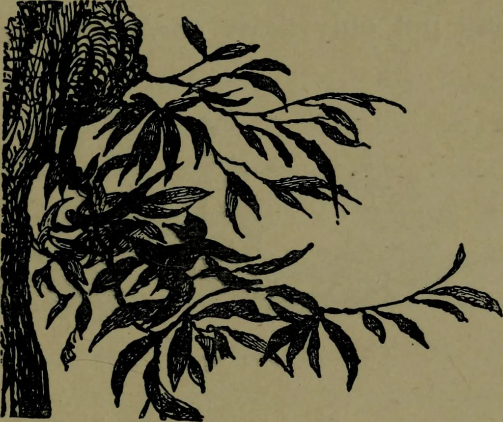 An illustration from The elements of drawing in three letters to beginners, 1898, leaf 199