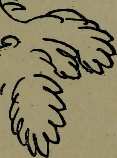 An illustration from The elements of drawing in three letters to beginners, 1898, leaf 213