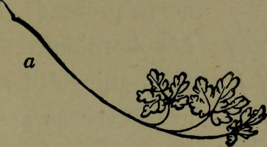 An illustration from The elements of drawing in three letters to beginners, 1898, leaf 309