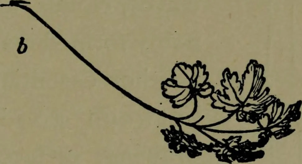 An illustration from The elements of drawing in three letters to beginners, 1898, leaf 309