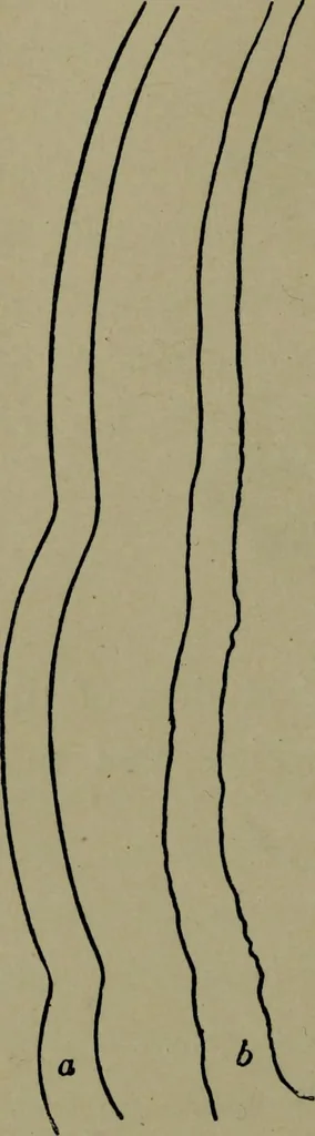 An illustration from The elements of drawing in three letters to beginners, 1898, leaf 310