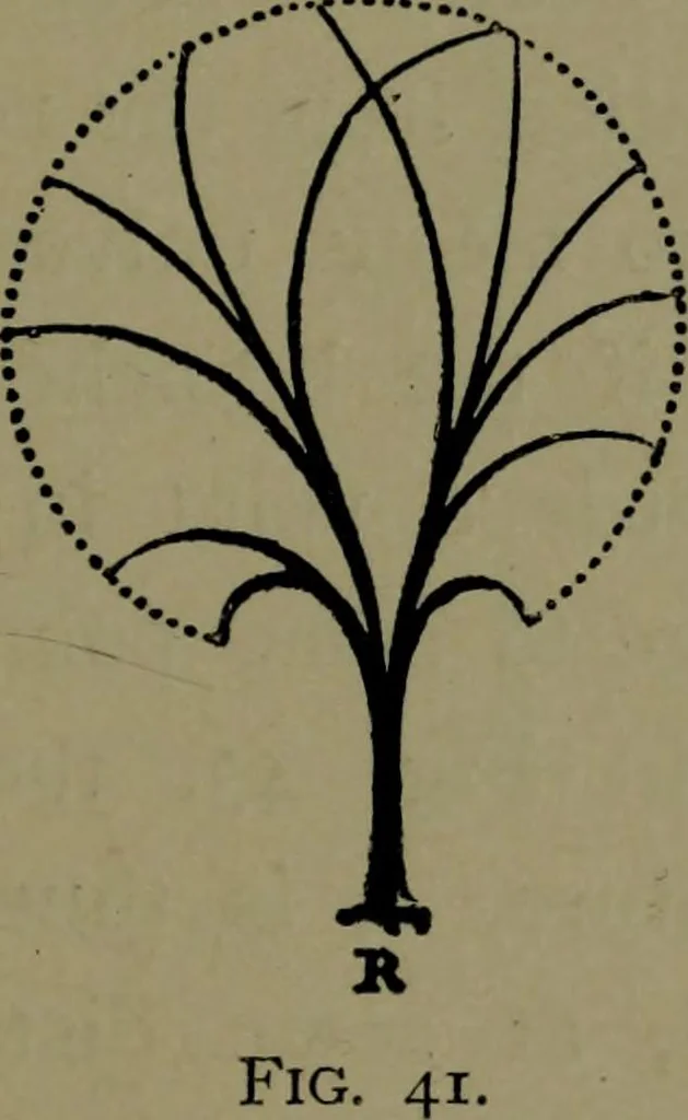 An illustration from The elements of drawing in three letters to beginners, 1898, leaf 313