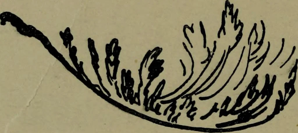 An illustration from The elements of drawing in three letters to beginners, 1898, leaf 318