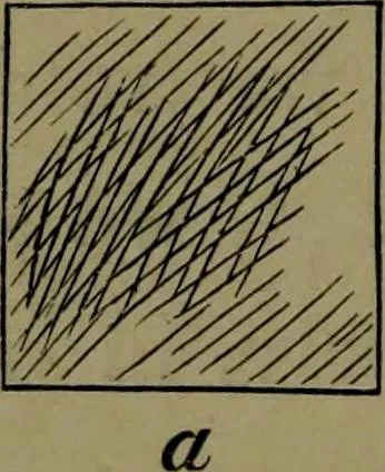 An illustration from The elements of drawing in three letters to beginners, 1898, leaf 48