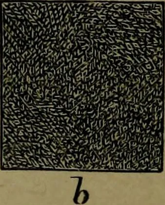 An illustration from The elements of drawing in three letters to beginners, 1898, leaf 48