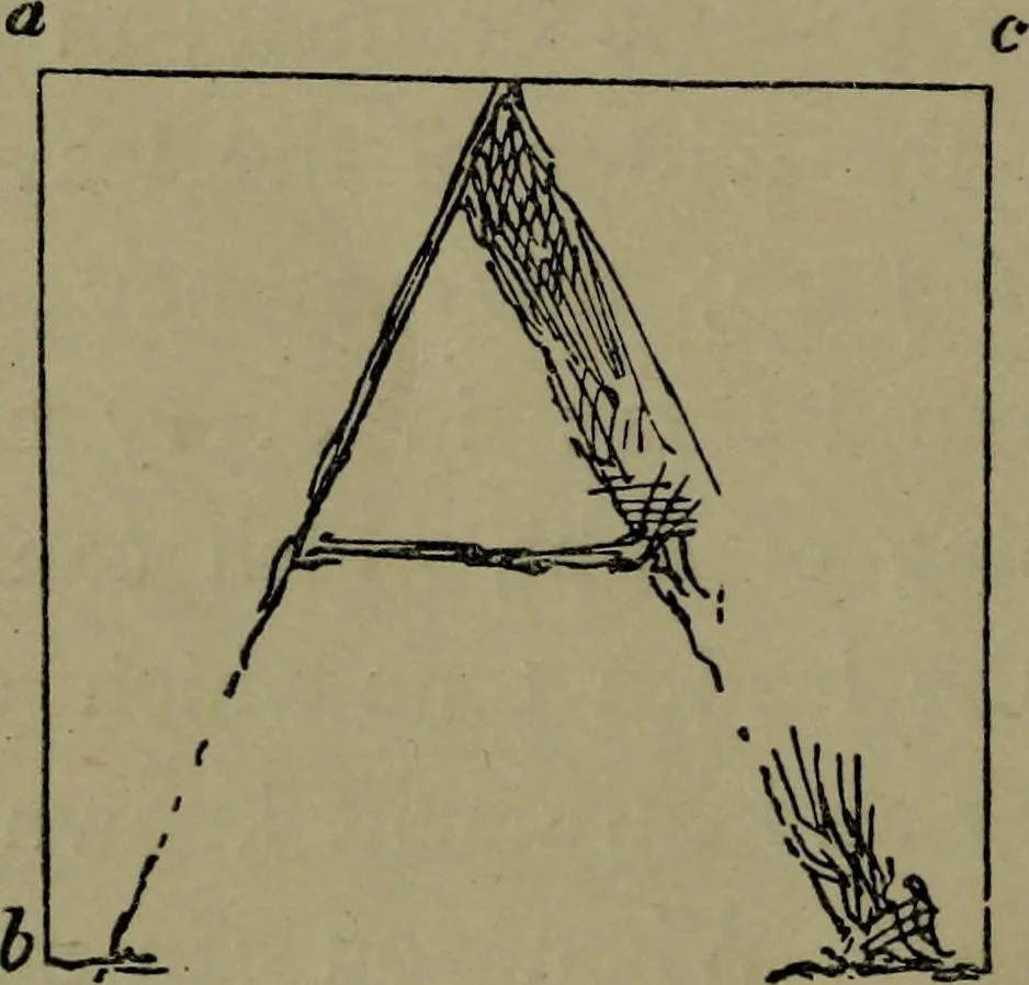 An illustration from The elements of drawing in three letters to beginners, 1898, leaf 64