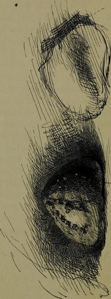 An illustration from The elements of drawing in three letters to beginners, 1898, leaf 84
