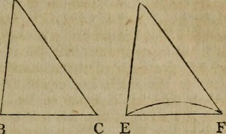 An illustration from The Elements of Euclid : viz. the first six books, together with the eleventh and twelfth : the errors, by which Theon, or others, have long ago vitiated these books, are corrected, and some of Euclid's demonstrations are restored : also, the book of Euclid's Data, in like manner corrected, 1806, leaf 19