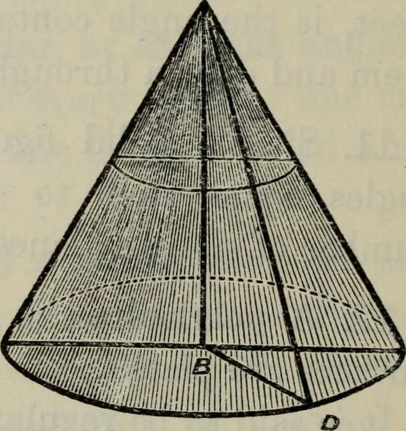 An illustration from The elements of Euclid for the use of schools and colleges; comprising the first six books and portions of the eleventh and twelfth books;, 1903, leaf 296