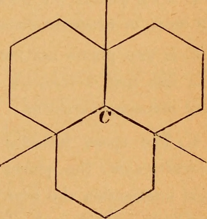 An illustration from Elements of geometry and trigonometry, 1886, leaf 116