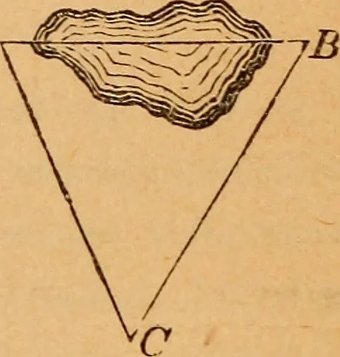 An illustration from Elements of geometry and trigonometry, 1886, leaf 210