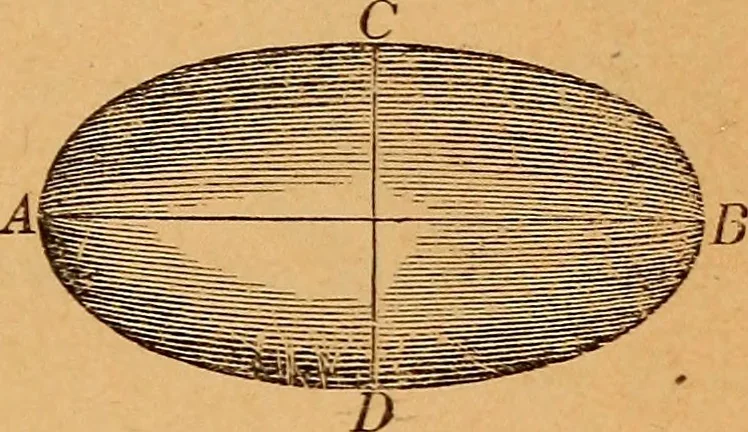 An illustration from Elements of geometry and trigonometry, 1886, leaf 260