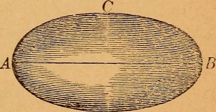An illustration from Elements of geometry and trigonometry, 1886, leaf 260