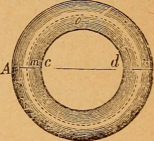 An illustration from Elements of geometry and trigonometry, 1886, leaf 262