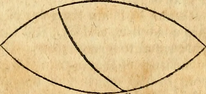 An illustration from Elements of geometry : containing the first six books of Euclid, with a supplement on the quadrature of the circle, and the geometry of solids : to which are added, Elements of plane and spherical geometry, 1826, leaf 244