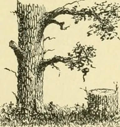 An illustration from Elements of lettering and sign painting;, 1899, leaf 45