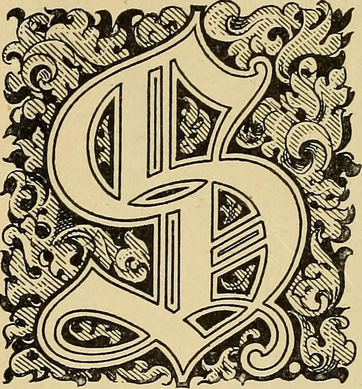 An illustration from Elements of lettering ... A treatise on the history, classification, and practical application of the various styles of letters of the alphabet, 1899, leaf 48