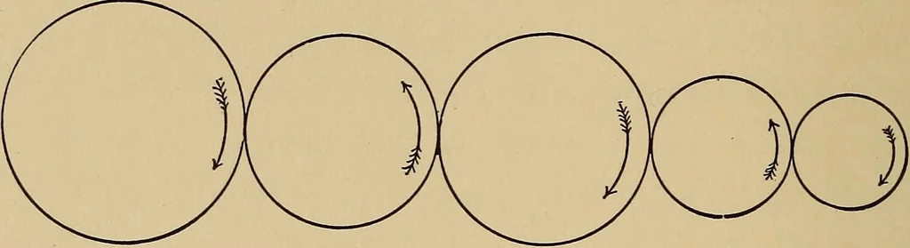 An illustration from The elements of the mechanics of materials and of power transmission, 1911, leaf 254