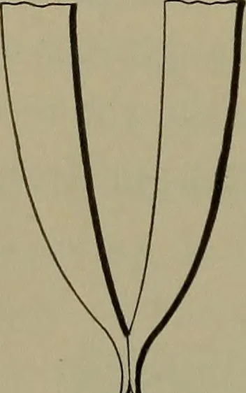 An illustration from Elements of mechanical drawing, 1911, leaf 109