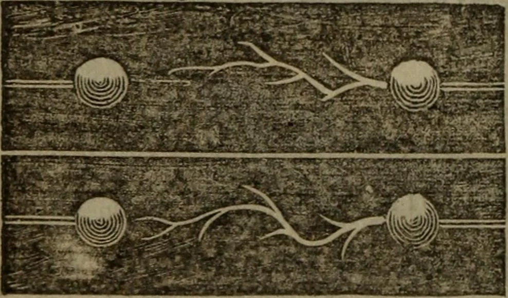 An illustration from The elements of natural and experimental philosophy .., 1834, leaf 157
