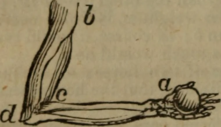 An illustration from The elements of natural and experimental philosophy .., 1834, leaf 59