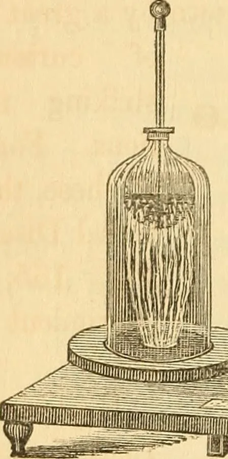 An illustration from The elements of natural philosophy : copiously illustrated by familiar experiments and containing descriptions of instruments, with directions for using : designed for the use of schools and academies, 1856, leaf 200