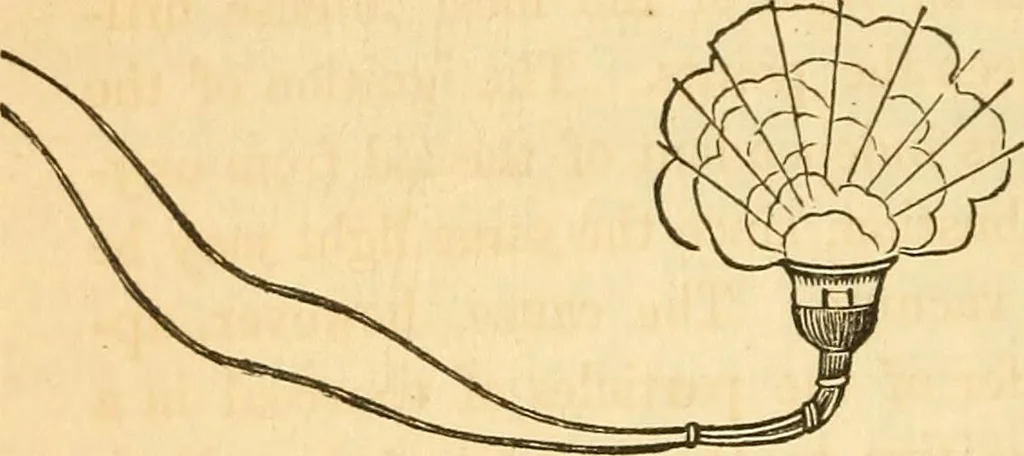 An illustration from The elements of natural philosophy : copiously illustrated by familiar experiments and containing descriptions of instruments, with directions for using : designed for the use of schools and academies, 1856, leaf 240
