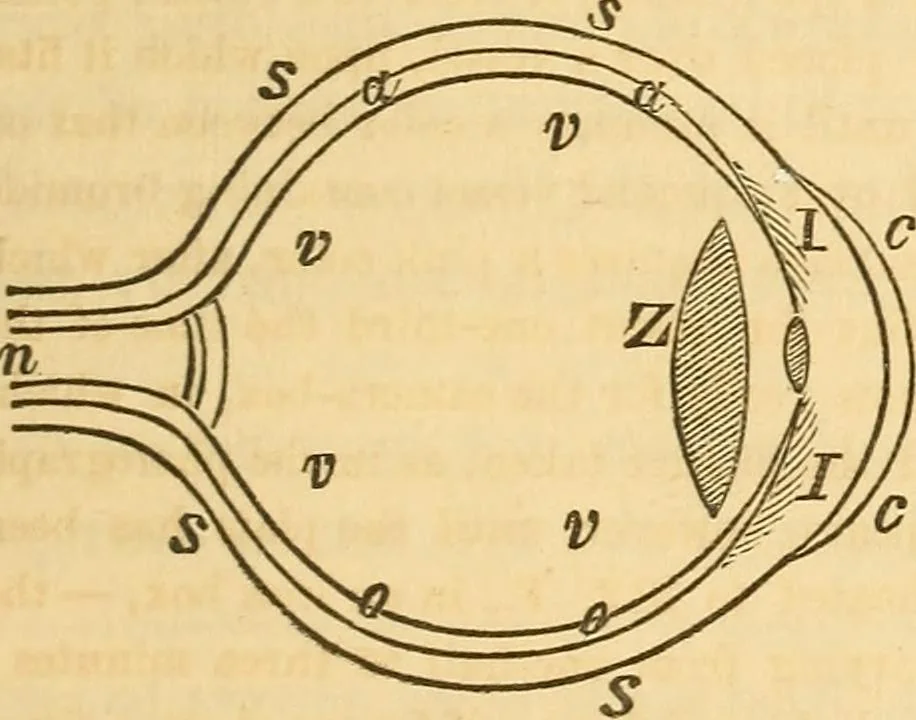 An illustration from The elements of natural philosophy : copiously illustrated by familiar experiments and containing descriptions of instruments, with directions for using : designed for the use of schools and academies, 1856, leaf 321