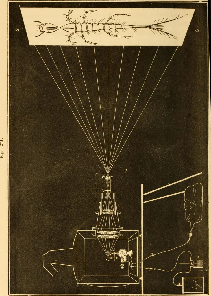 An illustration from The elements of natural philosophy : copiously illustrated by familiar experiments and containing descriptions of instruments, with directions for using : designed for the use of schools and academies, 1856, leaf 360