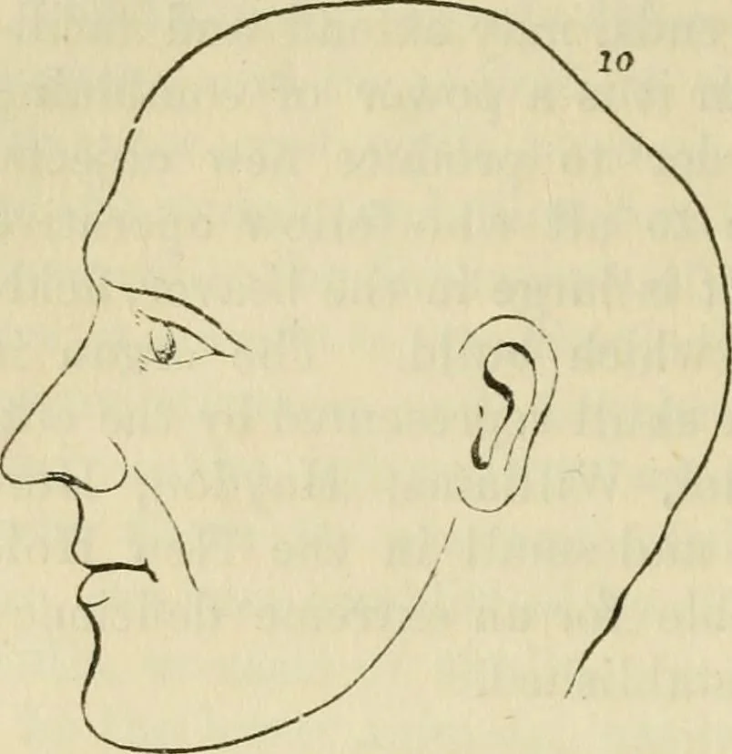 An illustration from Elements of phrenology, 1850, leaf 100