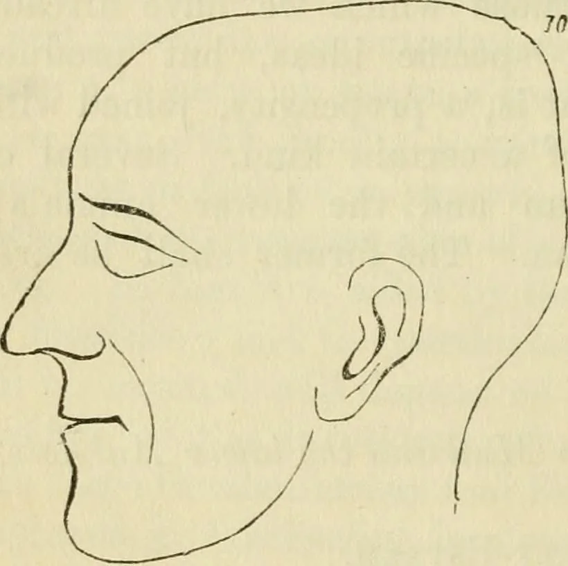 An illustration from Elements of phrenology, 1850, leaf 100
