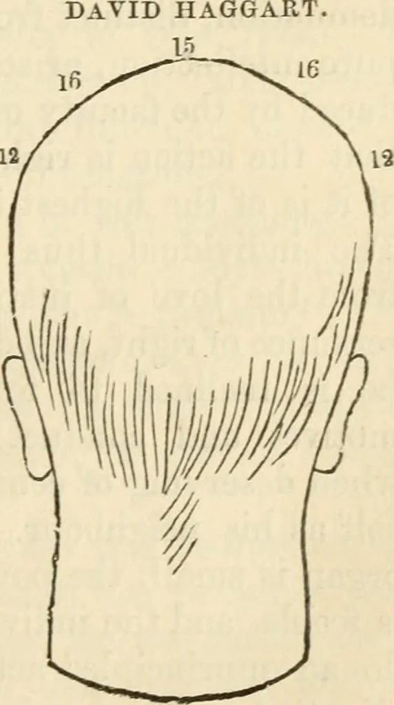 An illustration from Elements of phrenology, 1850, leaf 113