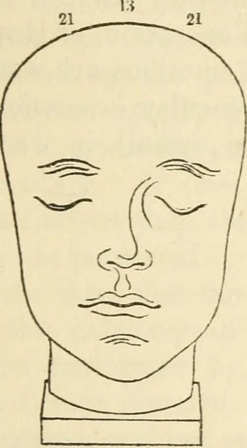 An illustration from Elements of phrenology, 1850, leaf 125