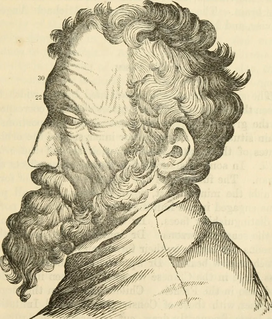 An illustration from Elements of phrenology, 1850, leaf 133