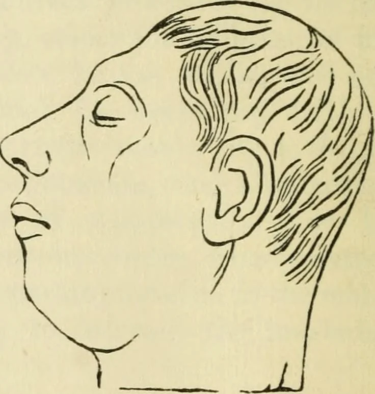 An illustration from Elements of phrenology, 1850, leaf 188